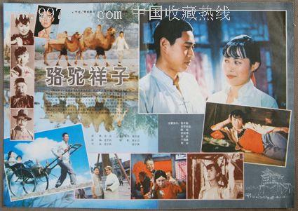贝勒大学公共管理文凭证书